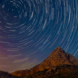 Ideas Make Millionaires