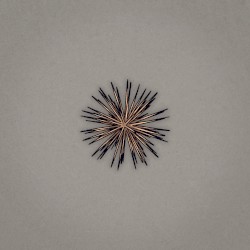 Toxic (Live Acoustic)