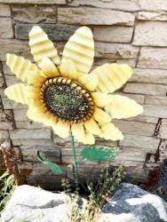 Freeroam 144 :: Real-Light Relations From the Second Meeting Which Now Achieved Near Doubleweek Transcendence XII -- "duofok retrn"