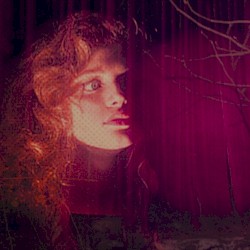 Twin Peaks Diaries 数2