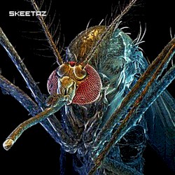 Skeetaz EP
