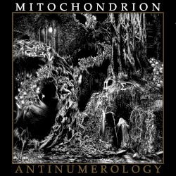 Antinumerology