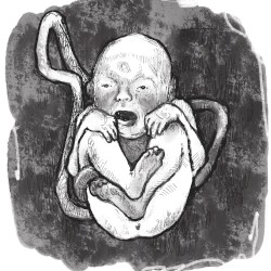 ТВИСТЕД ВИЛ