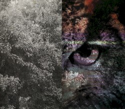 Humming Amps Vol. 2: The Owl's Legacy