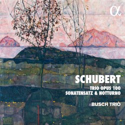 Trio, op. 100 / Sonatensatz / Notturno