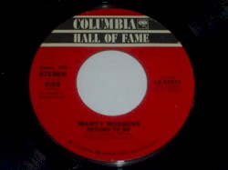 Return to Me / Among My Souvenirs