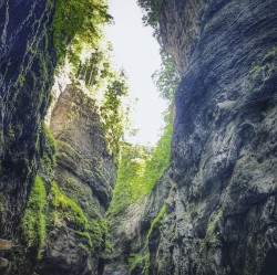 Maybe If I Really Tried with All of My Heart