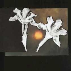 Loving You / Don't Let Me Go