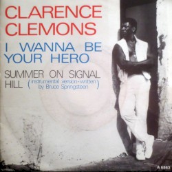 I Wanna Be Your Hero