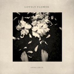 Lovely Flower