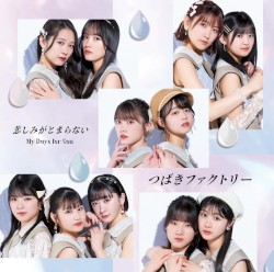 My Days for You / 悲しみがとまらない
