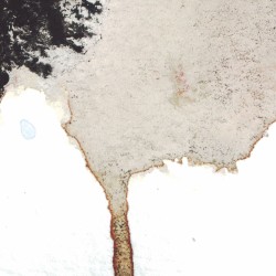 The Living Things/von Trier Flakes