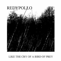 Like The Cry Of A Bird Of Prey