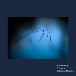 Echoes of Abandoned Shores