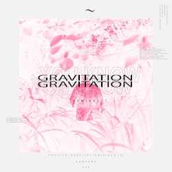 Gravitation (The Remixes)