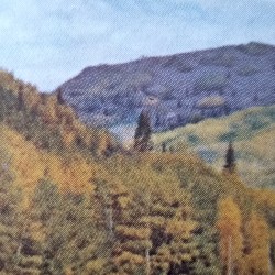 Music for Barren Days #04