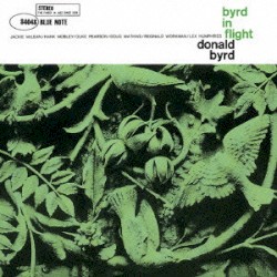 Byrd in Flight