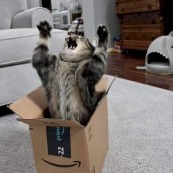 you must be kidding me