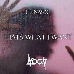 THATS WHAT I WANT (Noc.V bootleg)