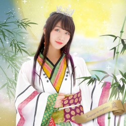 輝夜に願いを