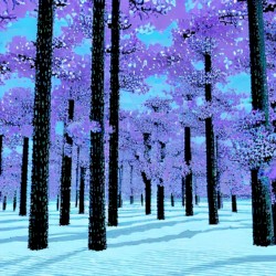 crystal forest