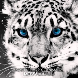 Animals (Melvv bootleg)