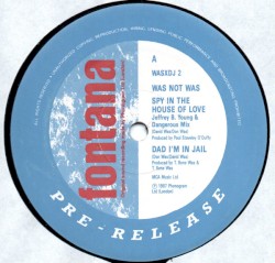 Spy in the House of Love