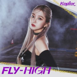 <FLY‐HIGH>