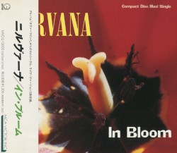 In Bloom