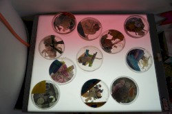 Season 02 Episode 05