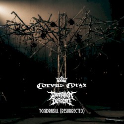 Yggdrasill (Resurrected)