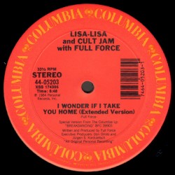 I Wonder If I Take You Home