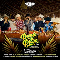 Desde la playa vol. 2 (en vivo)