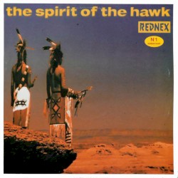The Spirit of the Hawk