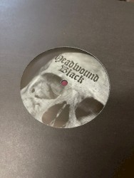 Shackles of Tyranny / Every Beautiful Thing