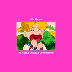 Je T'adore (Vaughn Oliver Remix)