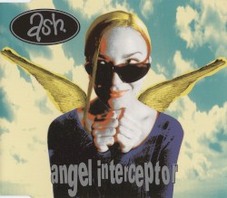 Angel Interceptor