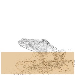[untitled]