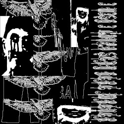 115: Jeg vil at du skal tenke i hodet ditt at du vil gjøre det