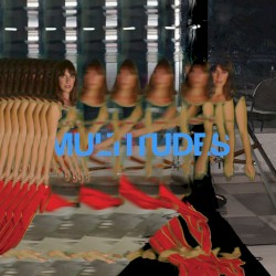 Multitudes