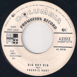 Dig Boy Dig / Two of a Kind
