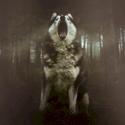 Wolf Spirit