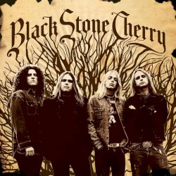 Black Stone Cherry