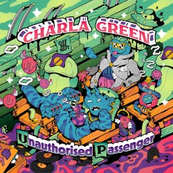 Unauthorised Passenger