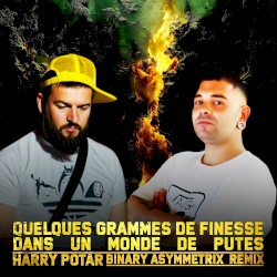 Quelques Grammes de finesse dans un monde de putes (Binary Asymmetrix Remix)