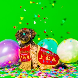 上出来