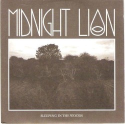 Sleeping in the Woods