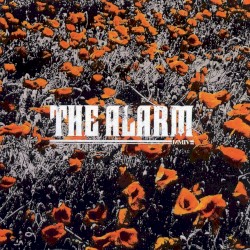 In the Poppy Fields