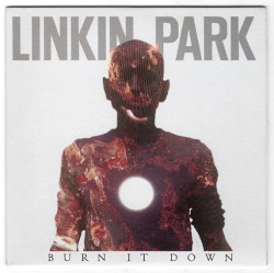 Burn It Down
