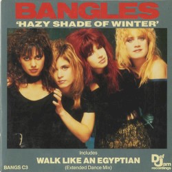 Hazy Shade of Winter